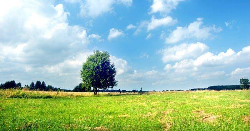 Freepik/bedneyimages